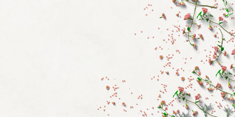 flower petals on paper background