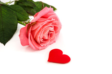 pink rose and red heart isolated on white background. Place for text. Close-up.