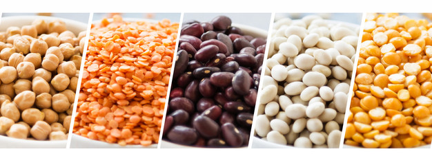 collage of various beans and peas close up. concept vegan protein