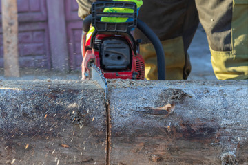 man sawing a big tree with a chainsaw. Sawdust. Close-up