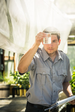 Biologist in greenhouse lab, inspecting plants. Montana, USA