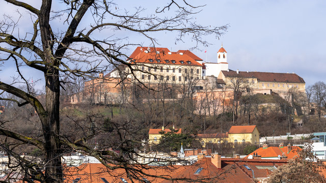 Spilberk Castle in Brno late morning with tree in the foreground