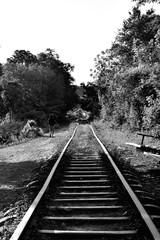 Fototapeta premium View of the Cambodian countryside from the famous bamboo train