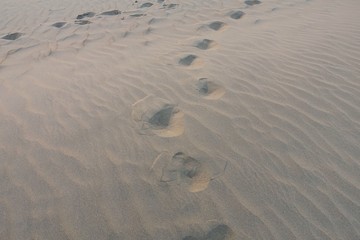 Steps in the desert sun in Rajasthan, India
