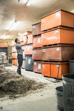 Farmer stands next to drying grass to collect and clean seeds, documenting storage. Montana, USA