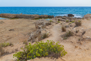 Rocky beach of Mediterranean Sea