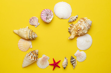 Summer holiday poster with sea shells and starfish on yellow background, copy space. Top view travel or vacation concept. Flat lay