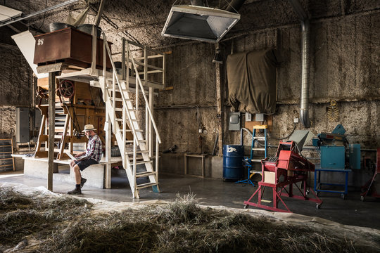 Farmer inspecting drying grass and documenting results on laptop. Montana, USA