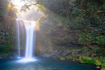 waterfall in forest, jion no taki, ohita, japan