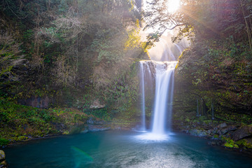 Fototapeta na wymiar waterfall in forest, jion no taki, ohita, japan