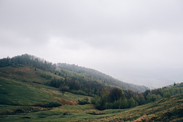Mountains in the fog covered with green grass and trees.