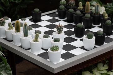 Chess board and cacti pieces