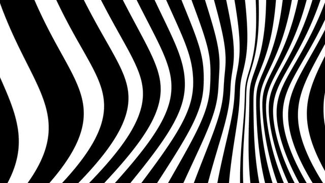 Animated abstract background in loop of black and white curved lines
