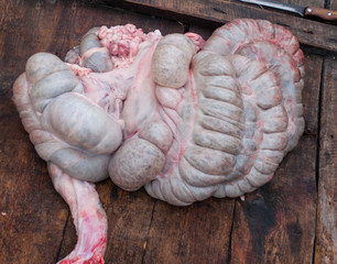 Whole intestinal pig intestines on wooden background