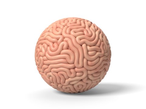 human brain in shape of sphere. 3D illustration