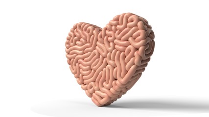 heart shaped human brain. 3D illustration