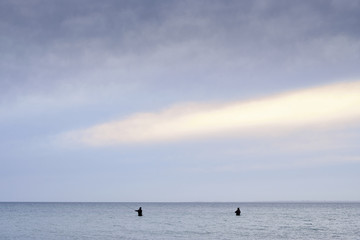 Fototapeta na wymiar Fishermen standing in the water wishing in the Baltic Sea with horizon 