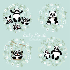 Obraz premium Baby panda collection. Cute little pandas with mom. The illustrations are decorated with floral elements.