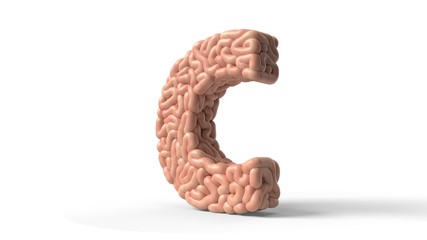 human brain in shape of letter C. 3D illustration