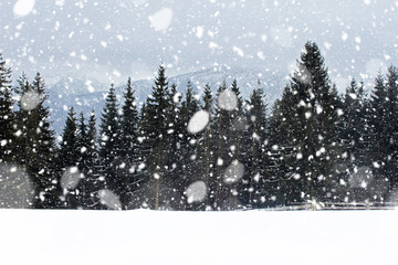 View from Gubalowka (1,126 m) on Tatry mountains and forest in snowing day, Zakopane, Poalnd....