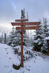 Signpost in the harz mountains