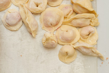 Modeling and cooking homemade dumplings by the family at home