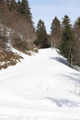 Photography that is showing the Chartreuse mountain during the winter season (Col de Porte)
