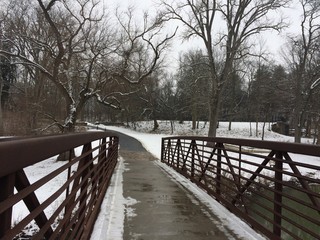 Fototapeta na wymiar bridge over the river in winter