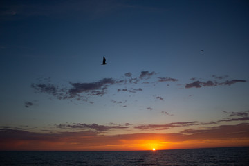 La Jolla Beach Sunset