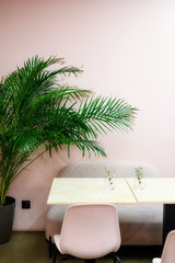 the interior of a cozy light cafe in natural pastel beige and pink tones, a table, chairs and a green palm plant. vertical photo