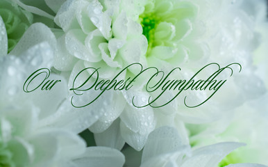 our deepest condolences message  white  flowers black background