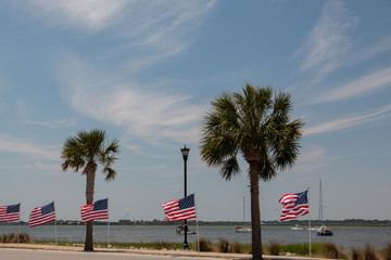 row of flags with palmetto trees