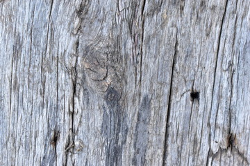 The pattern on the old and rotten planks, and wood frame