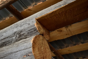 A stump with eyes construction debris and a log house with a roof