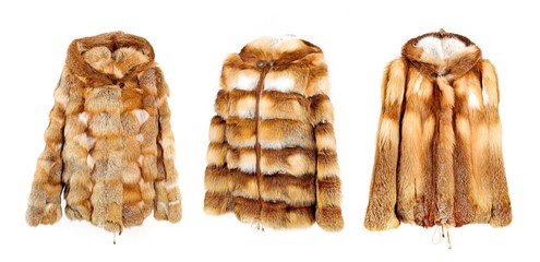 Women's red fox fur coat isolated on white background