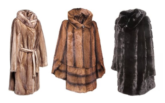 Mink coat shop made out of