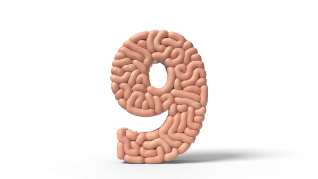 human brain in shape of number 9. 3D illustration