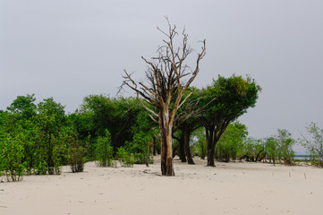 Brasilien Südamerika