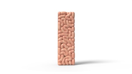 human brain in shape of letter I. 3D illustration