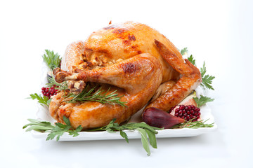 Traditional Roasted Turkey on White