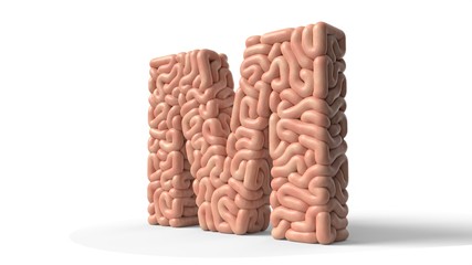 human brain in shape of letter M. 3D illustration