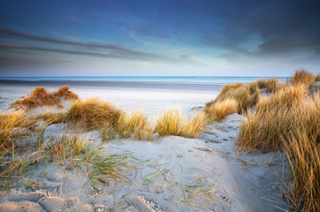 view on North sea beach in the morning