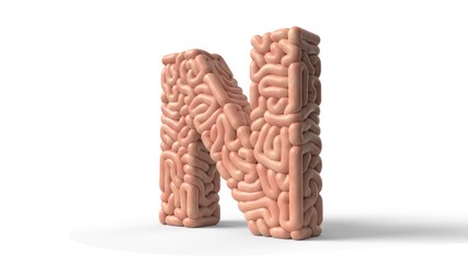 human brain in shape of letter N. 3D illustration