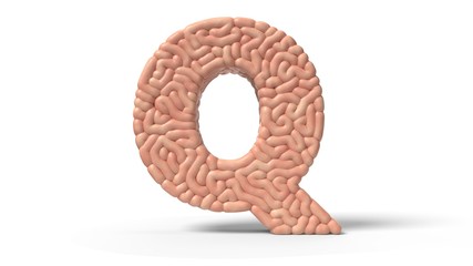 human brain in shape of letter Q. 3D illustration