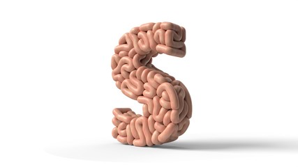 human brain in shape of letter S. 3D illustration