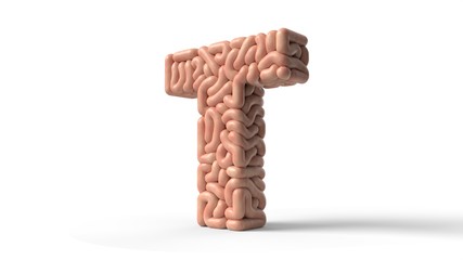 human brain in shape of letter T. 3D illustration