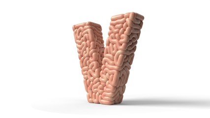 human brain in shape of letter V. 3D illustration