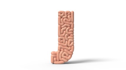 human brain in shape of letter j. 3D illustration