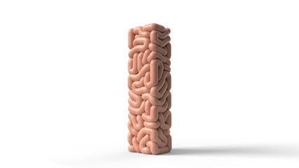 human brain in shape of letter l. 3D illustration