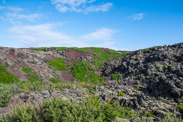 Fototapeta na wymiar The lava fields of island of Heimaey in Vestmannaeyjar in Iceland